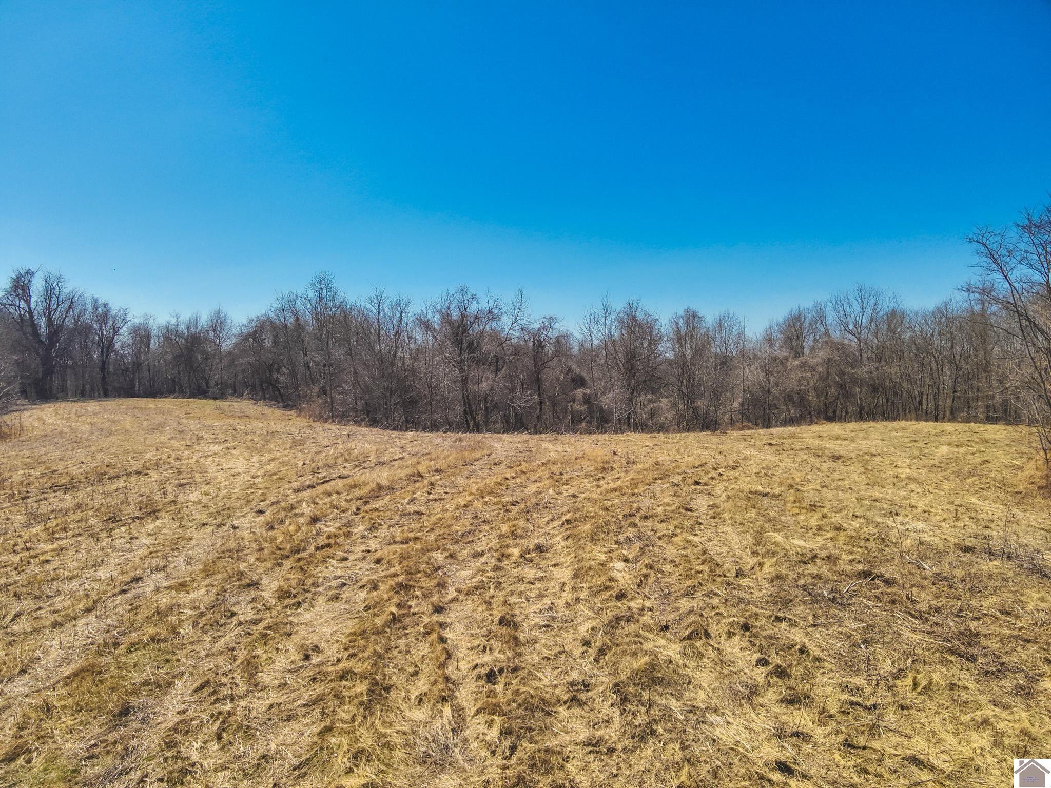 0 River Road Smithland, KY 42081 - Photo 11 of 13 Photo 11
