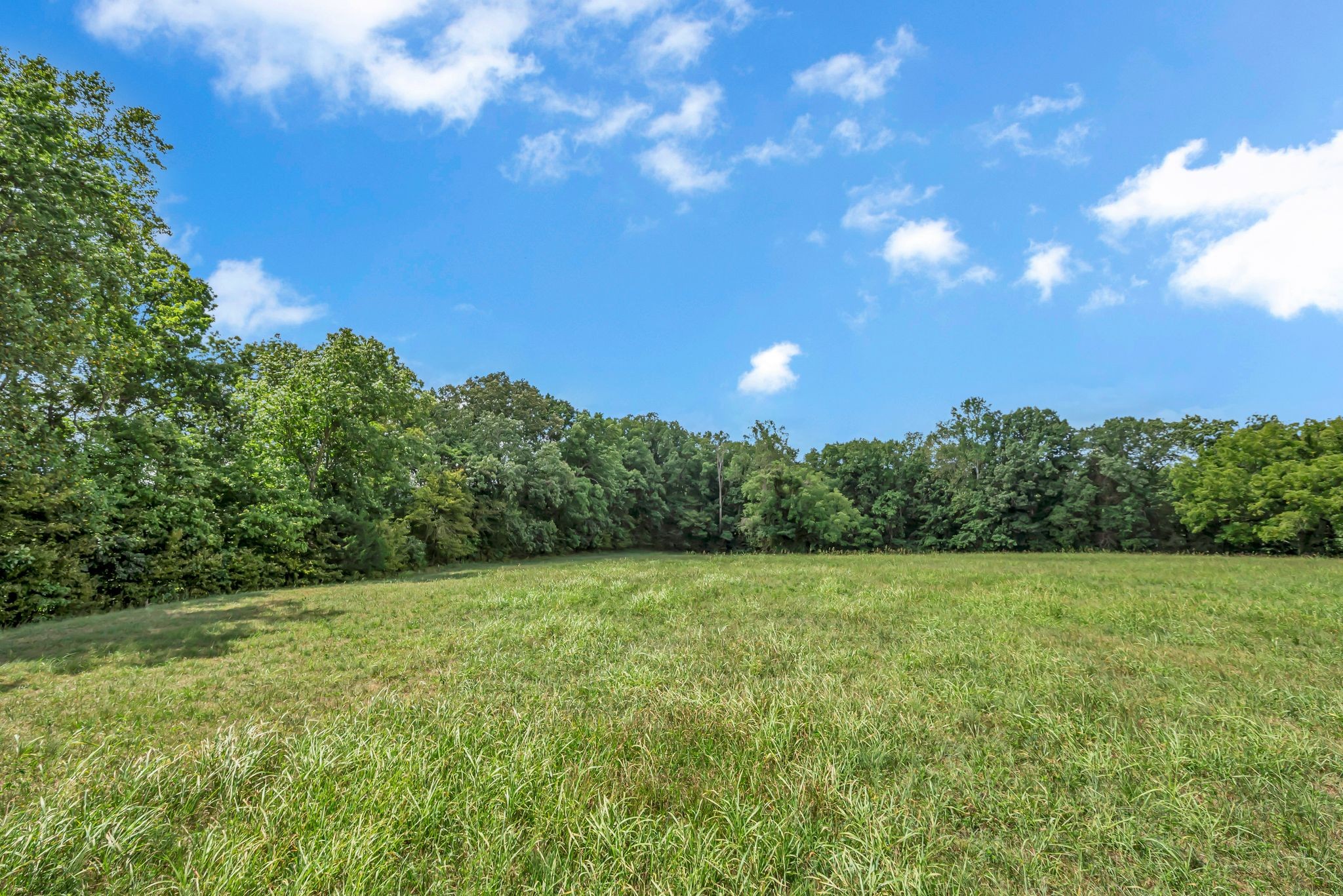 397 West Grinders Switch Road Centerville, TN 37033 - Photo 25 of 48 Gallery Image 25