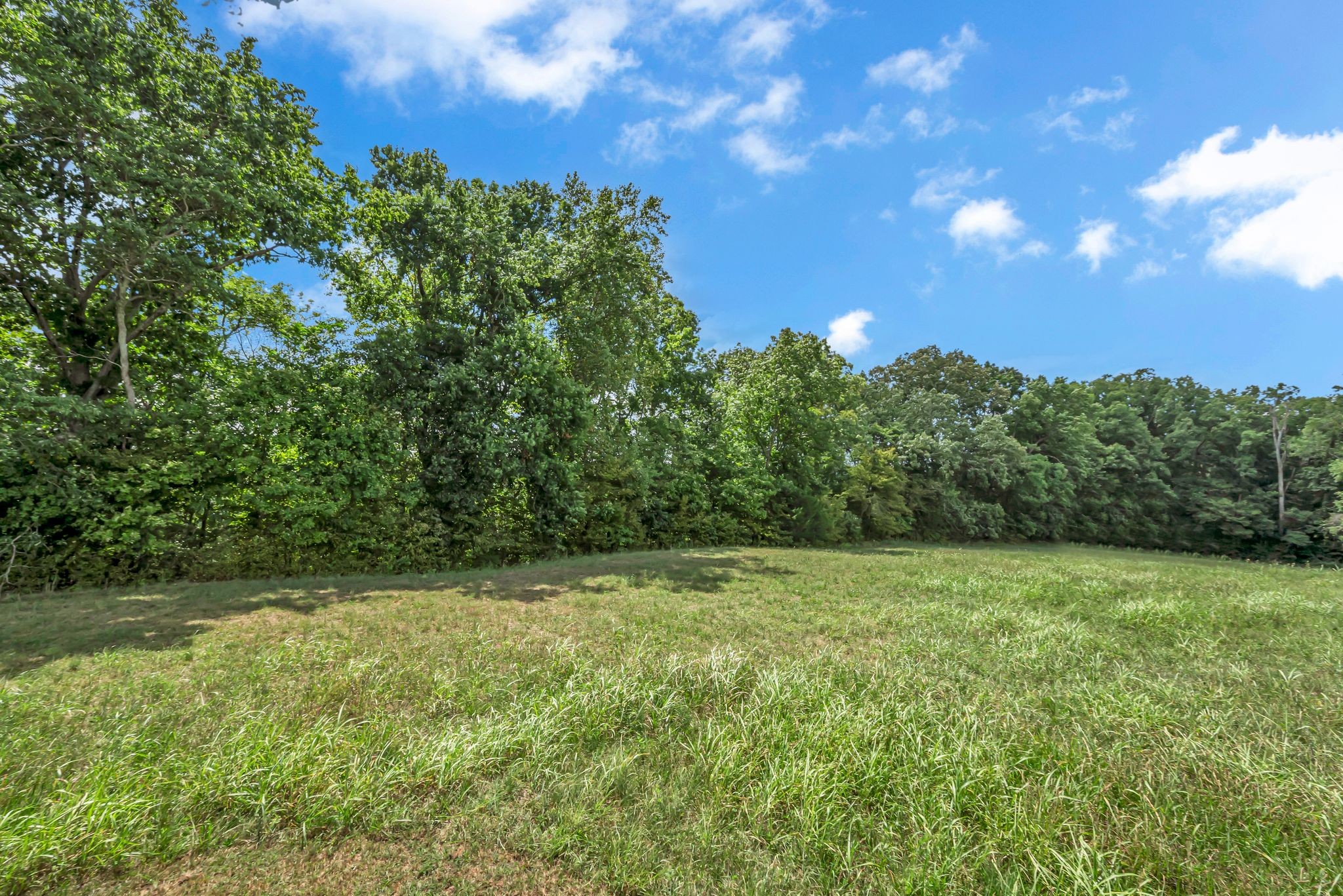 397 West Grinders Switch Road Centerville, TN 37033 - Photo 26 of 48 Gallery Image 26