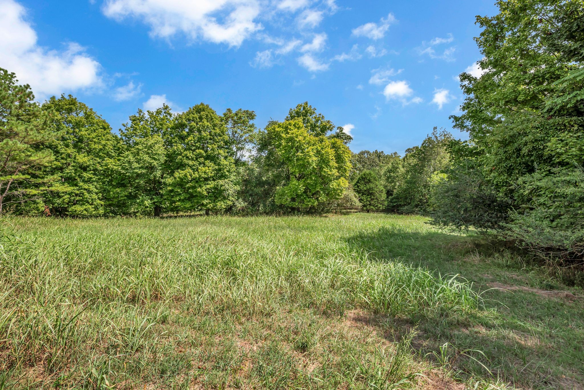 397 West Grinders Switch Road Centerville, TN 37033 - Photo 27 of 48 Gallery Image 27