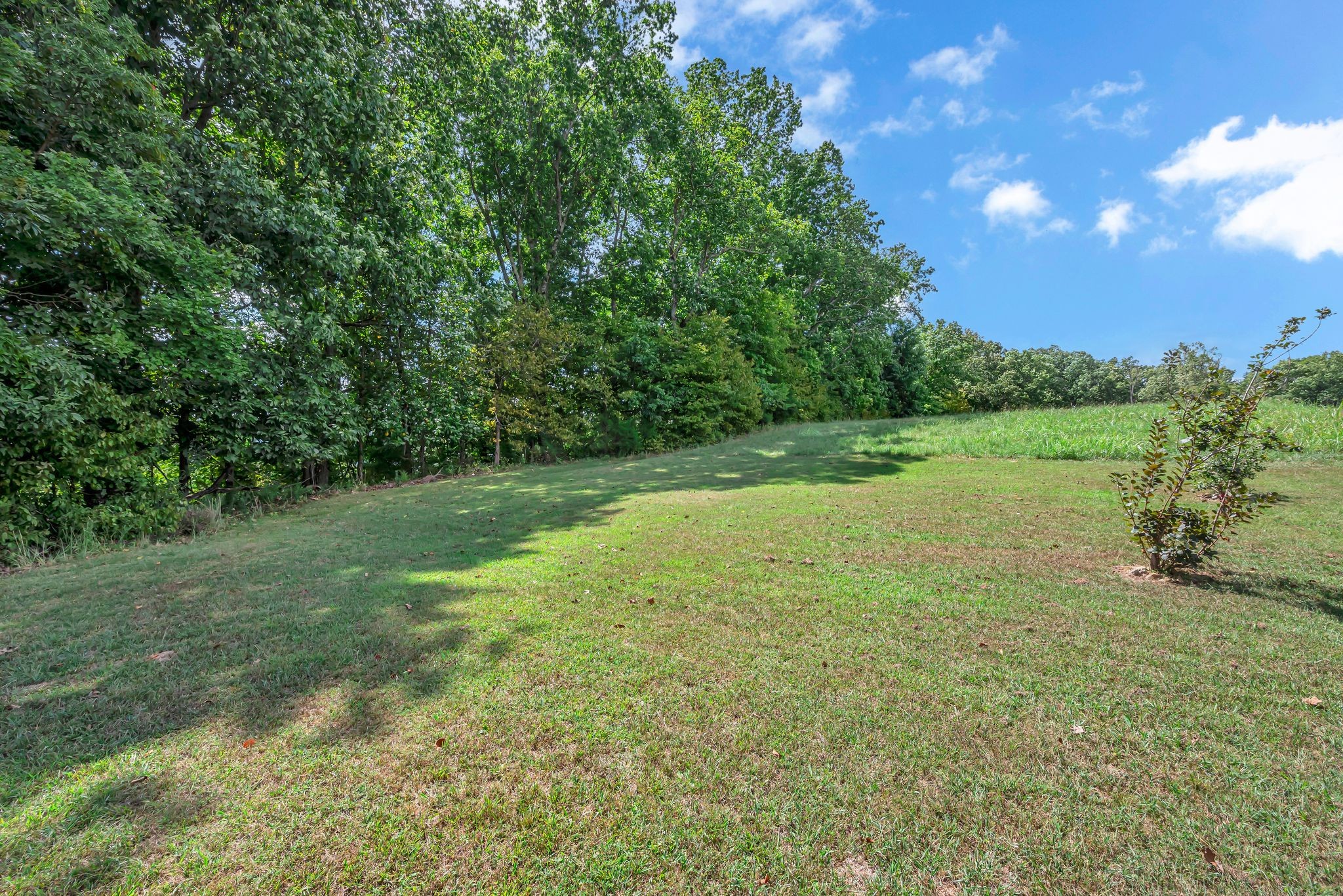 397 West Grinders Switch Road Centerville, TN 37033 - Photo 28 of 48 Gallery Image 28