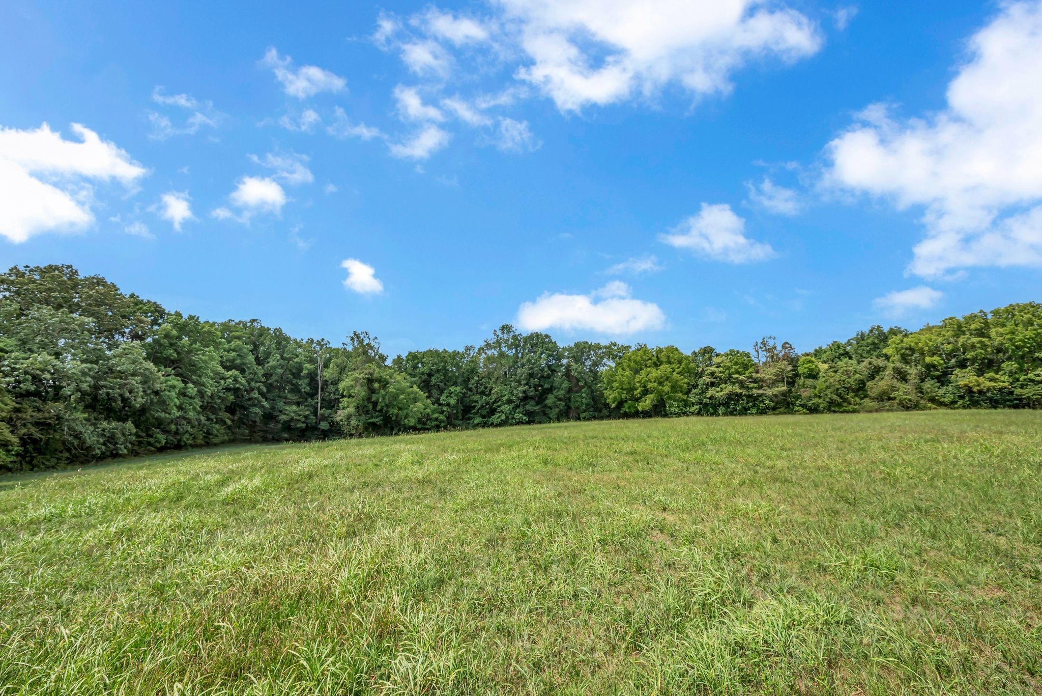 397 West Grinders Switch Road Centerville, TN 37033 - Photo 29 of 48 Gallery Image 29