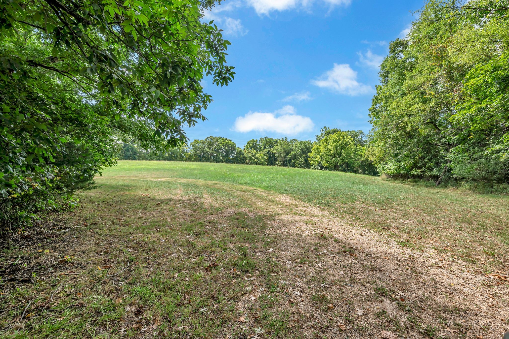 397 West Grinders Switch Road Centerville, TN 37033 - Photo 3 of 48 Gallery Image 3