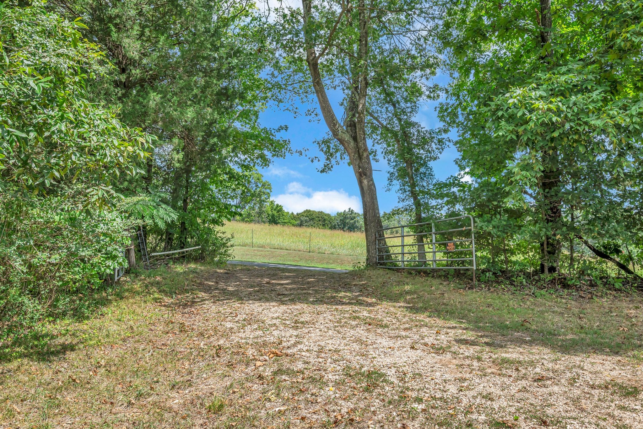 397 West Grinders Switch Road Centerville, TN 37033 - Photo 32 of 48 Gate to the right of entrance leads to separate pasture.