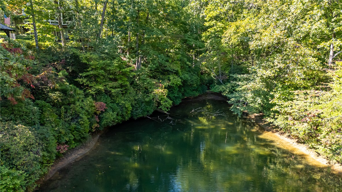 407 Clearwater Cove Salem, SC 29676 - Photo 3 of 13