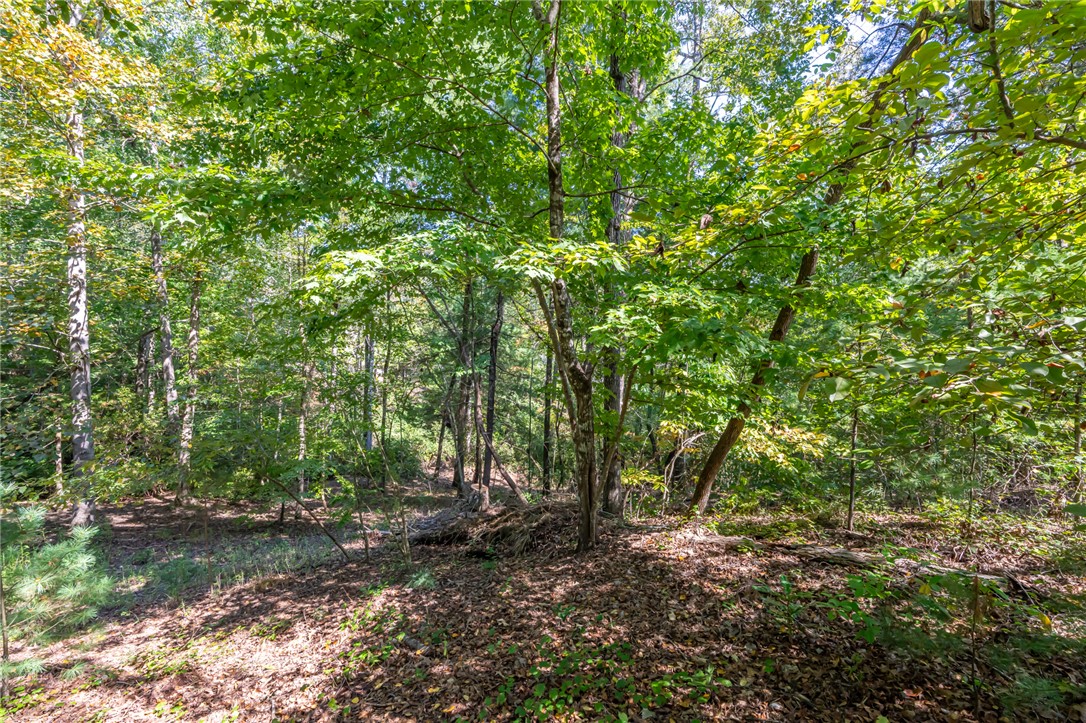 407 Clearwater Cove Salem, SC 29676 - Photo 7 of 13