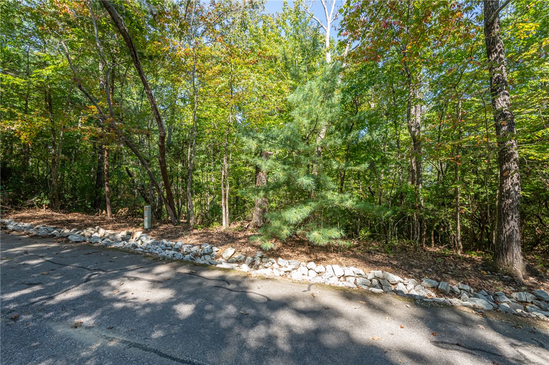 407 Clearwater Cove Salem, SC 29676 - Photo 8 of 13