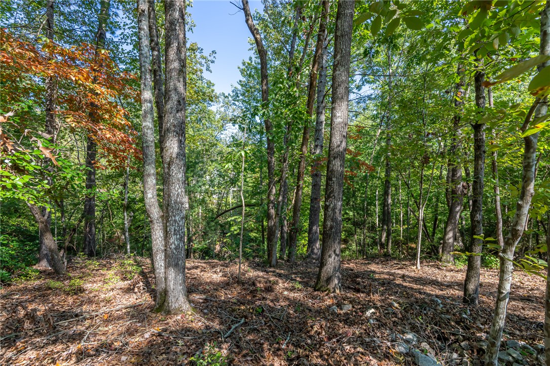 407 Clearwater Cove Salem, SC 29676 - Photo 9 of 13