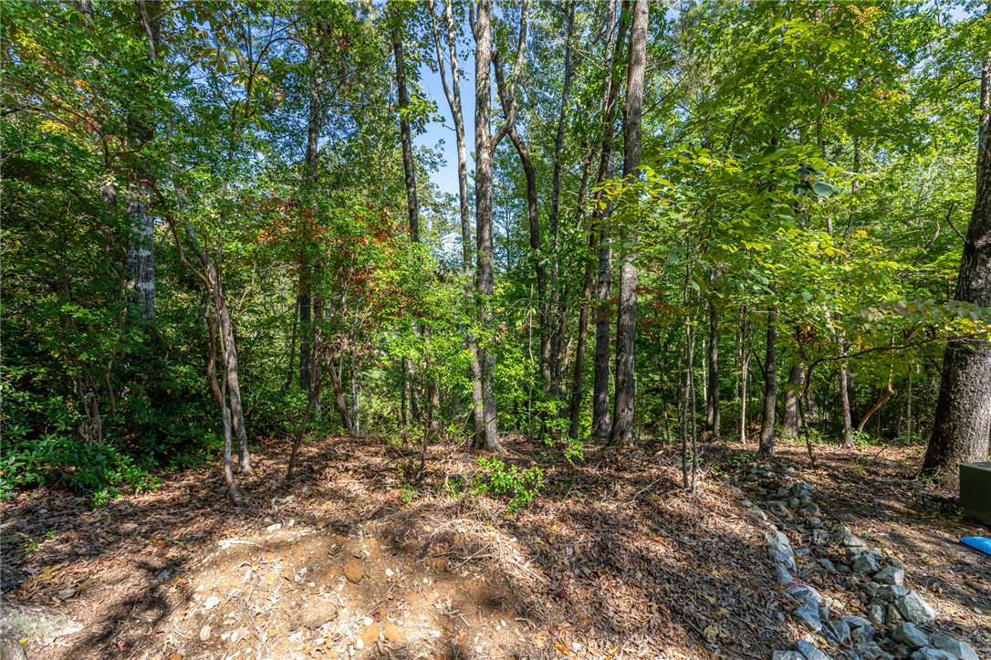 407 Clearwater Cove Salem, SC 29676 - Photo 10 of 13