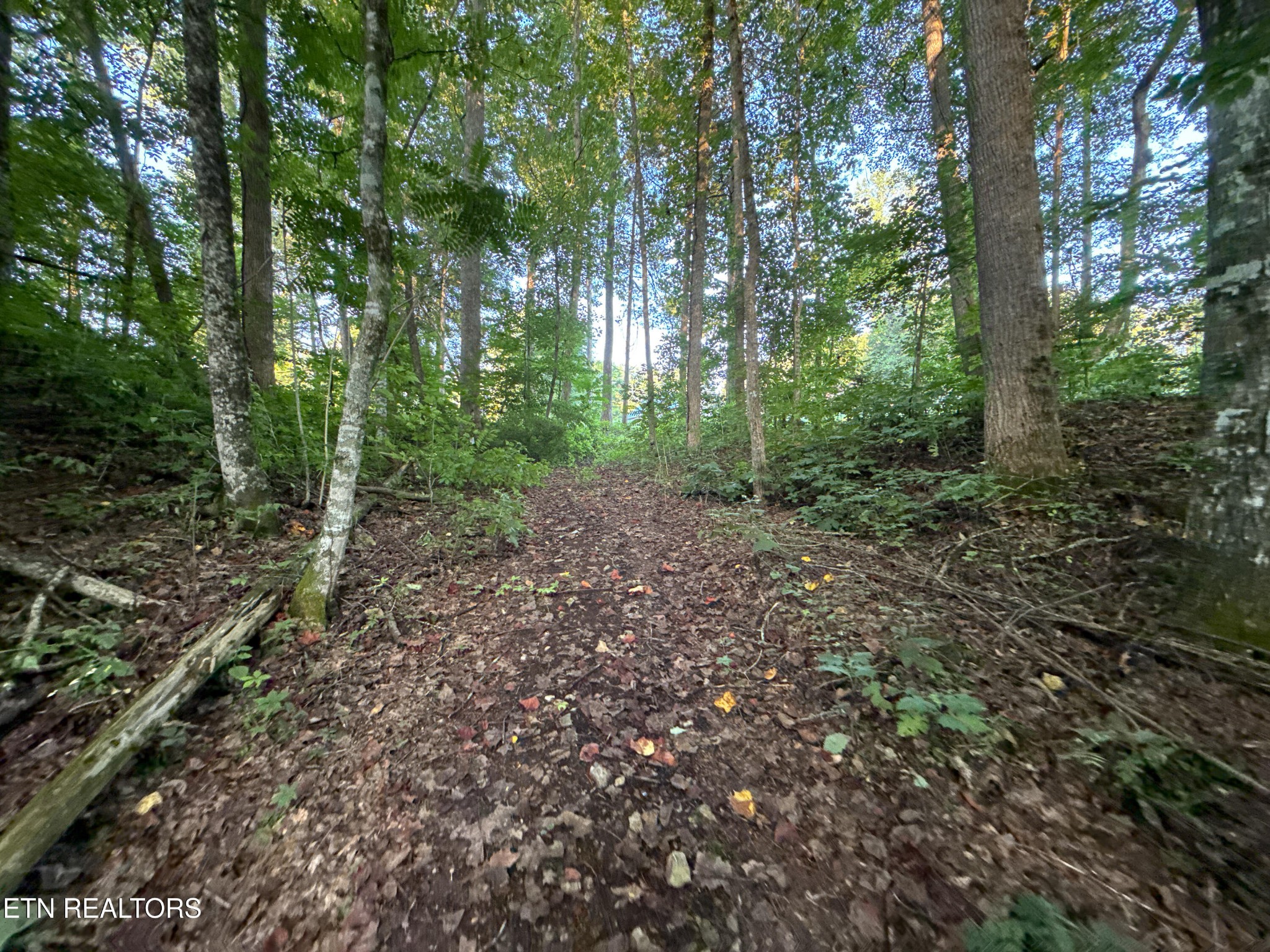 0 Helms Ferry Road Sharps Chapel, TN 37866 - Photo 25 of 43 Gallery Image 25