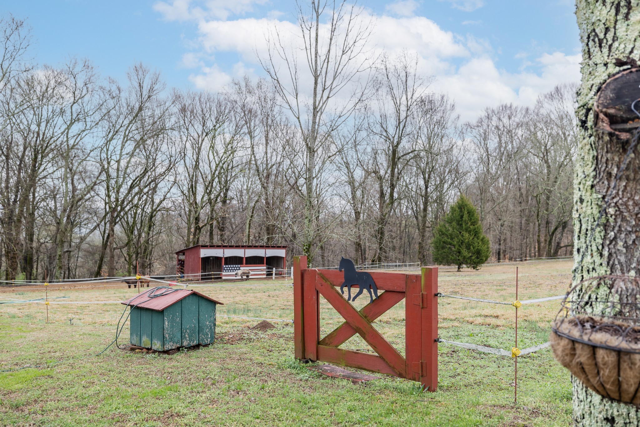 1875 Franklin Hayes Road Pulaski, TN 38478 - Photo 31 of 44