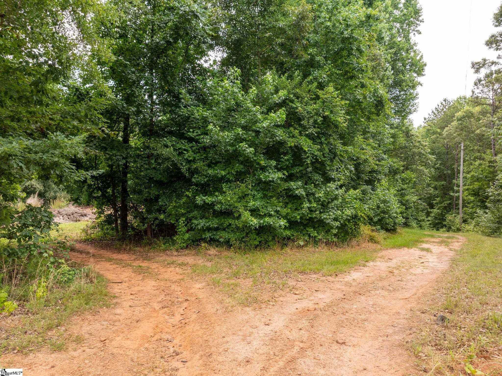 1350 Lee Cudd Road Rutherfordton, NC 28139 - Photo 4 of 34