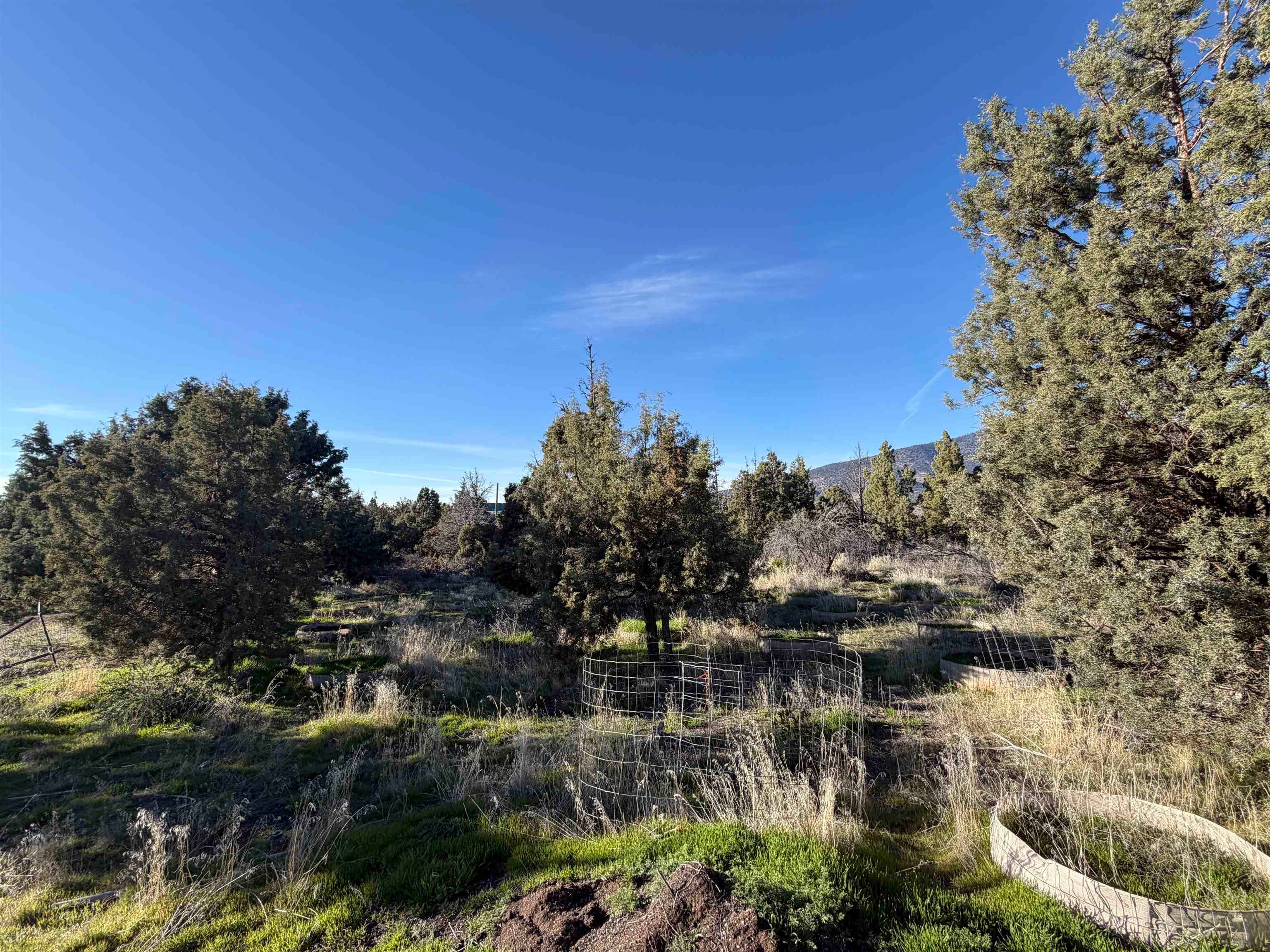 17239 Bounty Road Montague, CA 96064 - Photo 11 of 35 Gallery Image 11