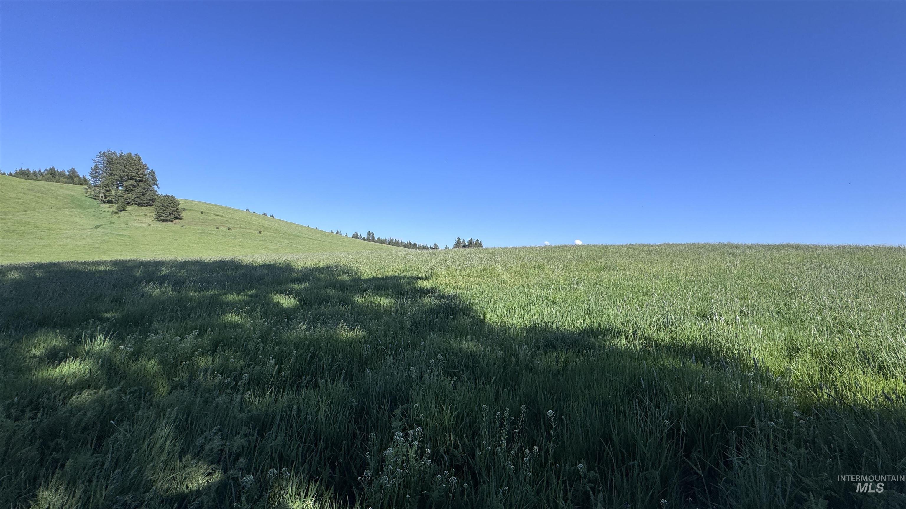 Tbd Harrisburg Road Kamiah, ID 83536 - Photo 46 of 50