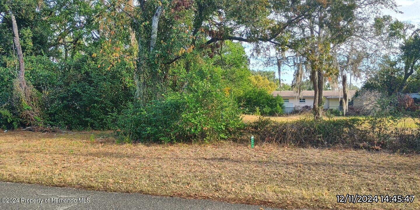 0 Arrowhead Avenue Spring Hill, FL 34606 - Photo 2 of 3