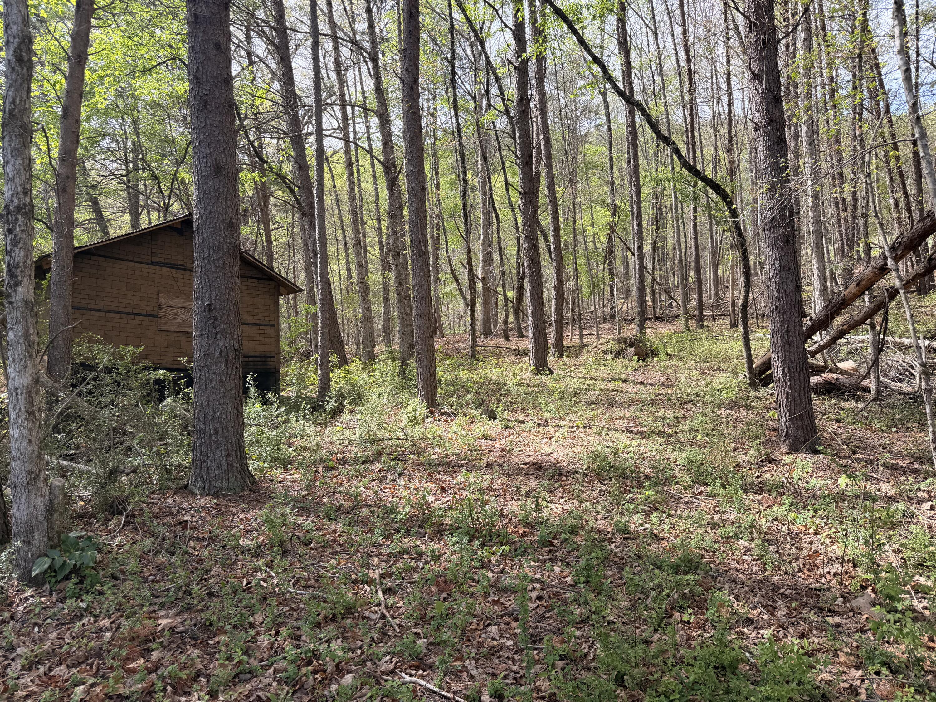 7155 Back Valley Road Evensville, TN 37332 - Photo 3 of 22 IMG_4184