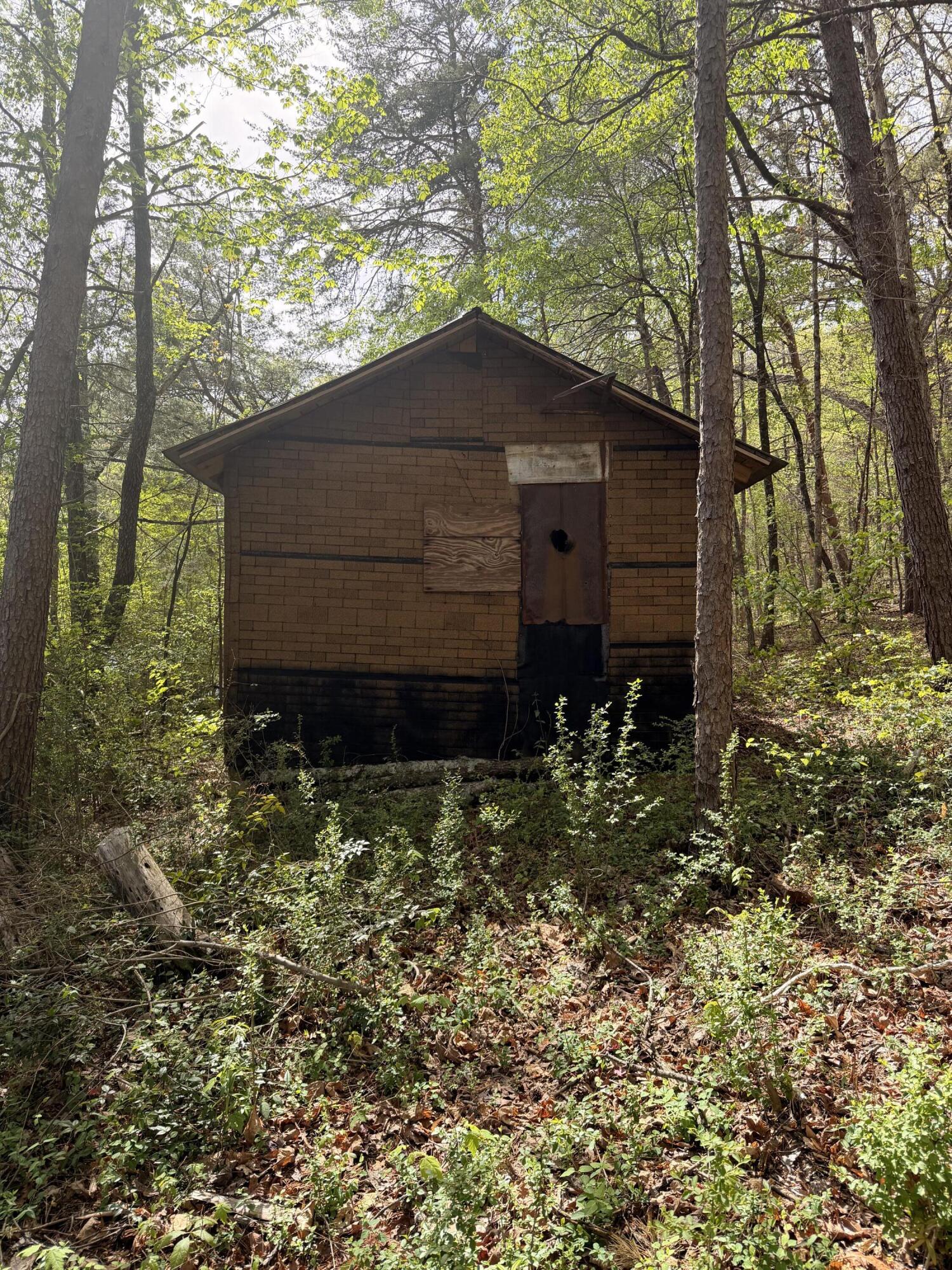 7155 Back Valley Road Evensville, TN 37332 - Photo 4 of 22 IMG_4185