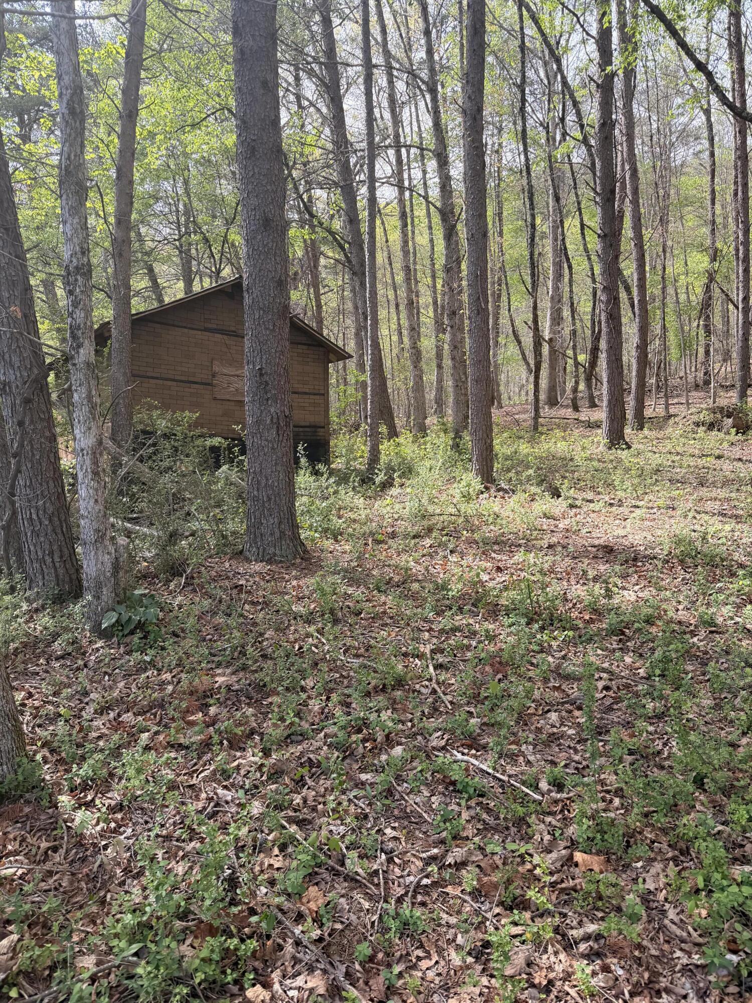 7155 Back Valley Road Evensville, TN 37332 - Photo 5 of 22 IMG_4182