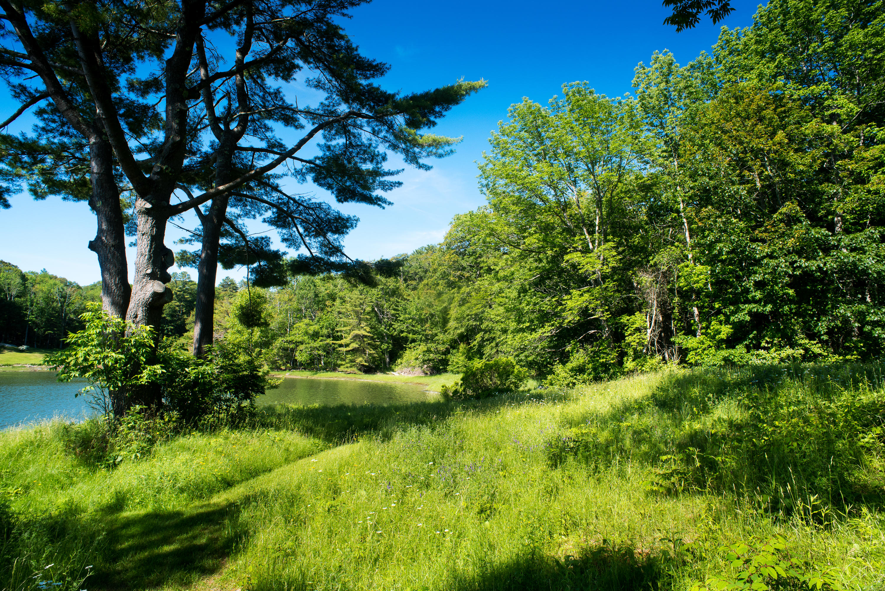 34 Kiln Road Newcastle, ME 04553 - Photo 6 of 41 06-34KilnRd_SBS-