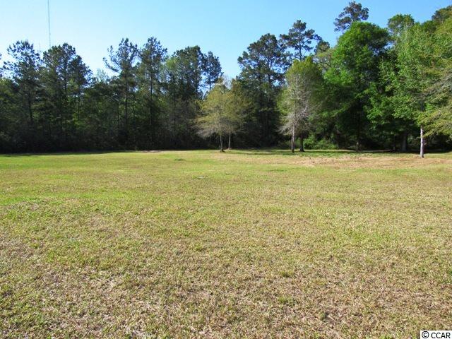 Tbd Messiah Drive Georgetown, SC 29440 - Photo 2 of 2 Gallery Image 2