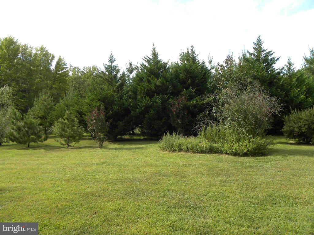 2414 Busic Church Road Marydel, MD 21649 - Photo 2 of 30 a view of a field with a trees in the background