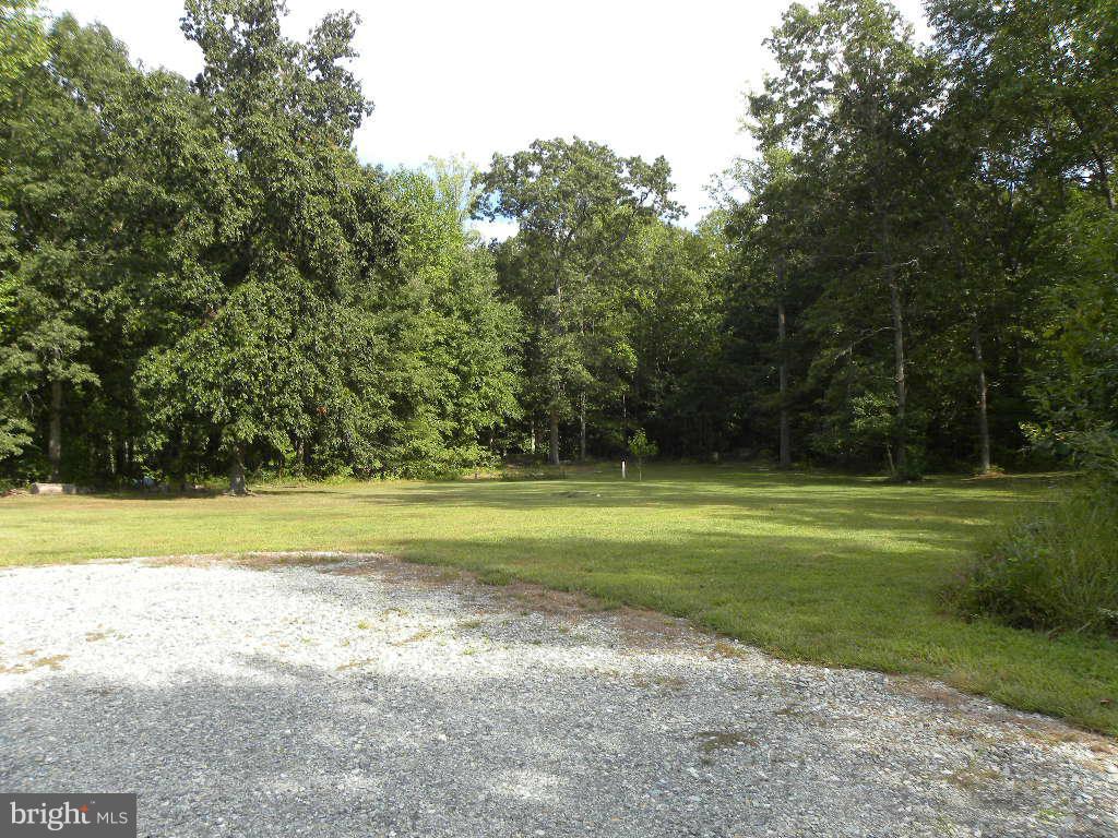 2414 Busic Church Road Marydel, MD 21649 - Photo 3 of 30 a view of a swimming pool with a big yard and large trees