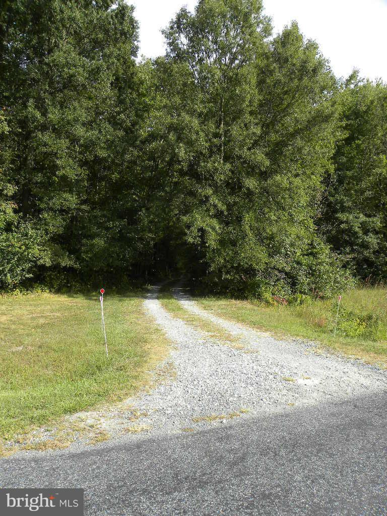 2414 Busic Church Road Marydel, MD 21649 - Photo 8 of 30