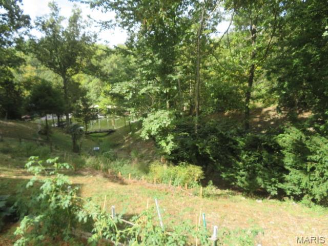 210 Lands End Road Hillsboro, IL 62049 - Photo 28 of 47