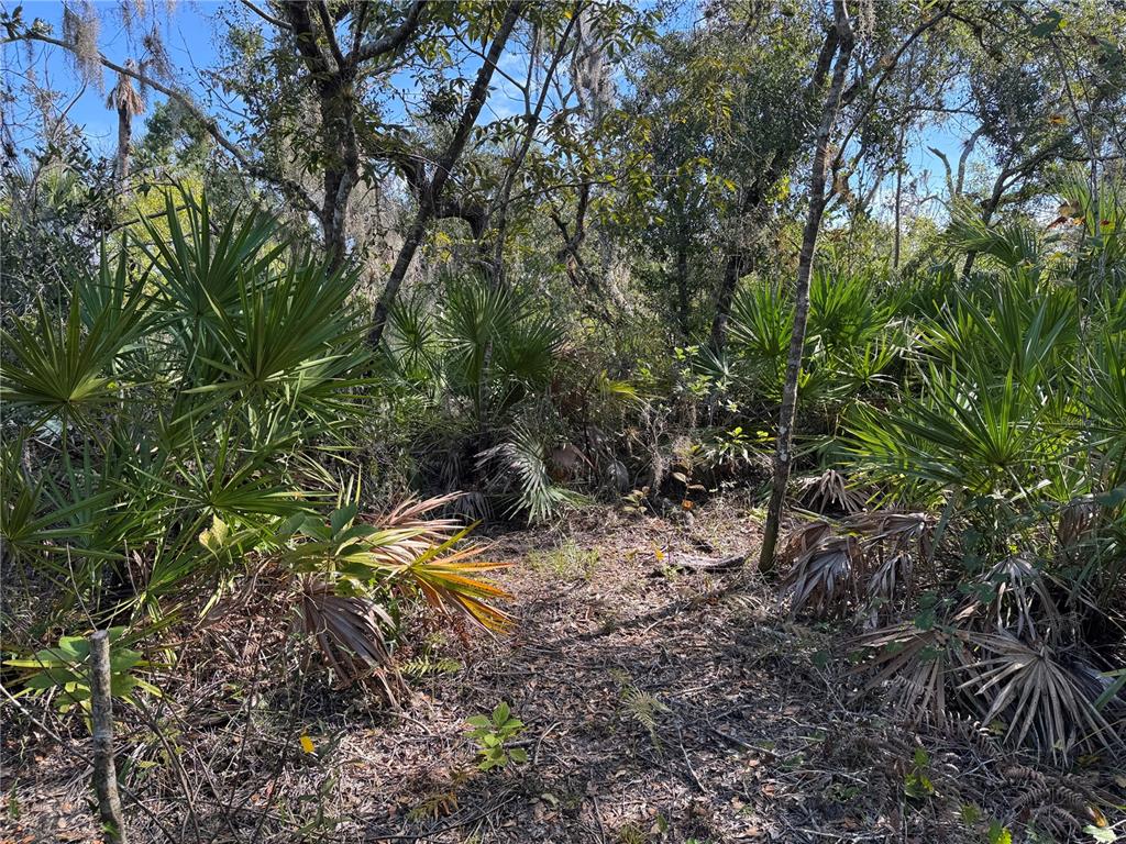 Upper Manatee River Road Bradenton, FL 34212 - Photo 9 of 21