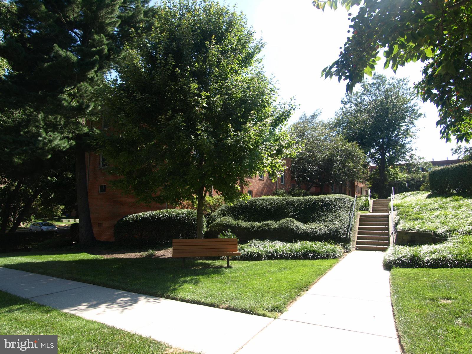 8201 Grubb Road, Unit 101 Silver Spring, MD 20910 - Photo 18 of 31 a view of a park with plants and a large tree