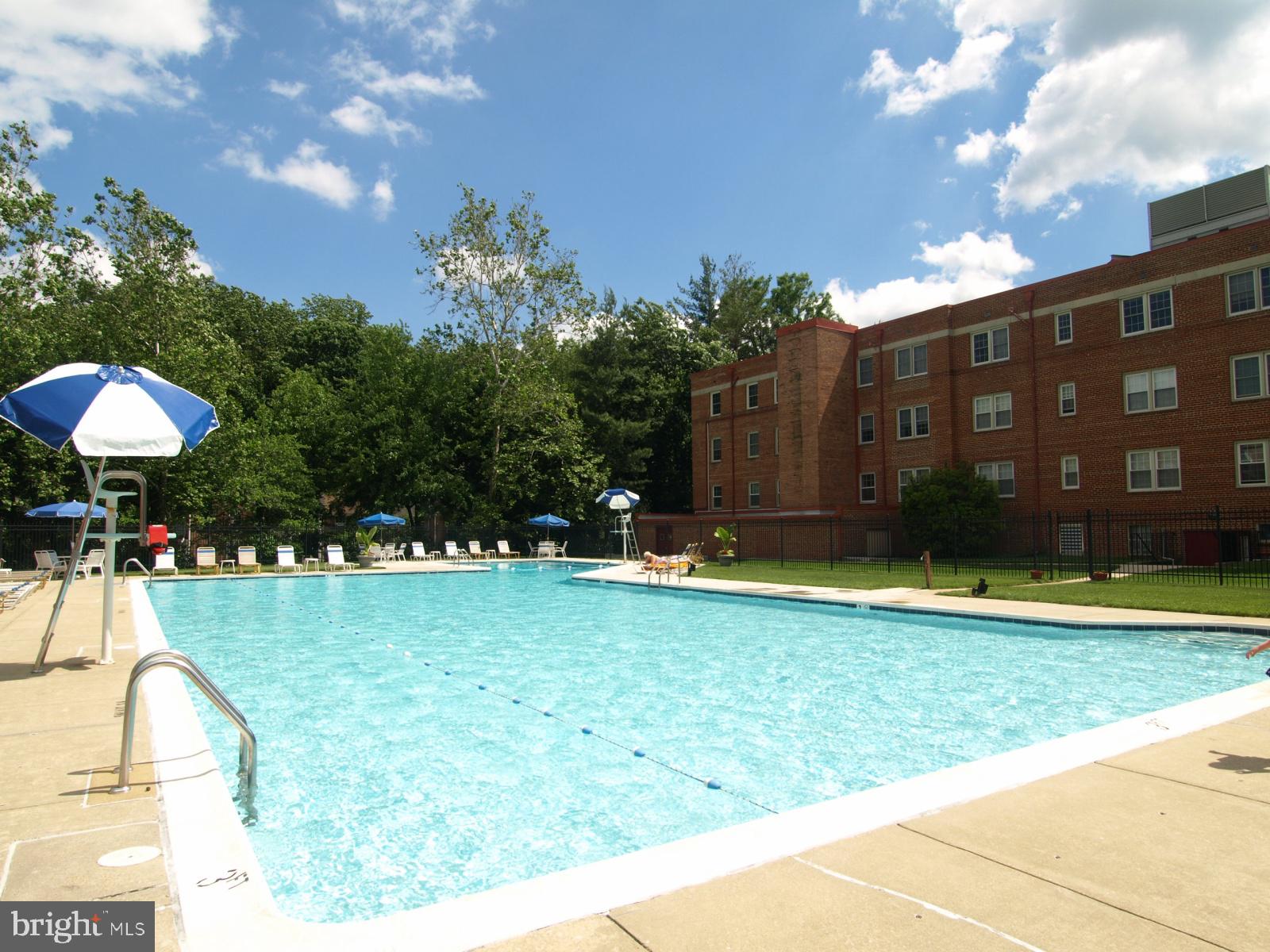8201 Grubb Road, Unit 101 Silver Spring, MD 20910 - Photo 19 of 31 a view of swimming pool