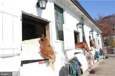 8201 Grubb Road, Unit 101 Silver Spring, MD 20910 - Photo 30 of 31 a view of balcony