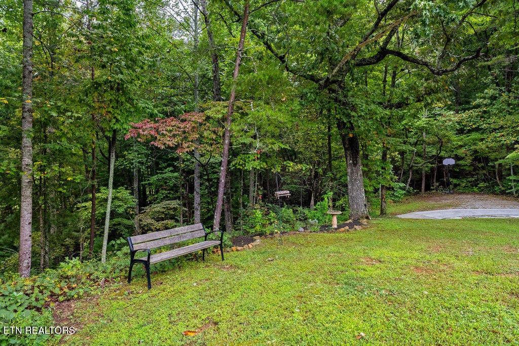 8720 Spangler Road Knoxville, TN 37920 - Photo 50 of 53 Gallery Image 50