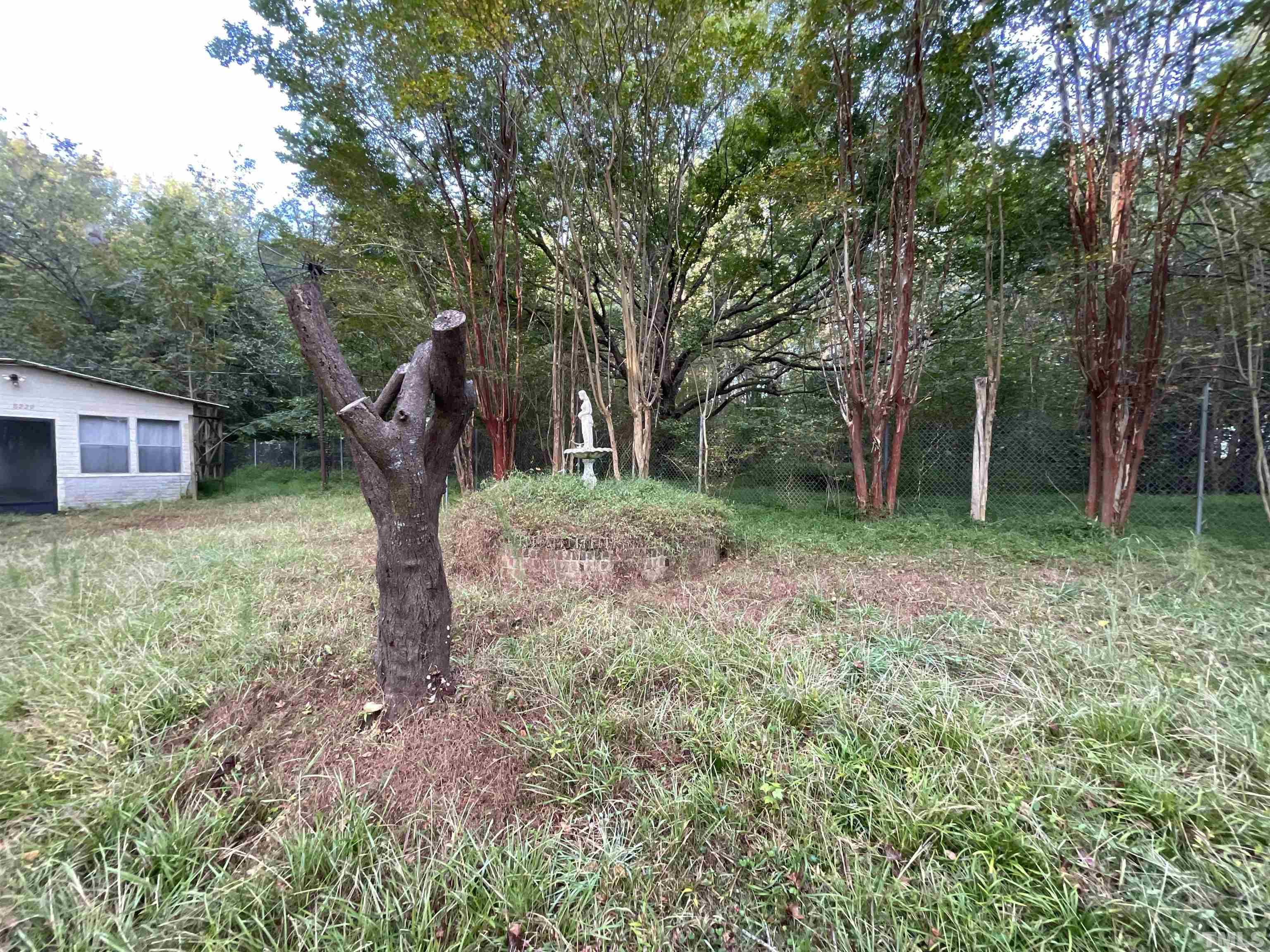 8229 Holly Springs Road Raleigh, NC 27606 - Photo 2 of 24 a backyard of a house with lots of plants and large tree
