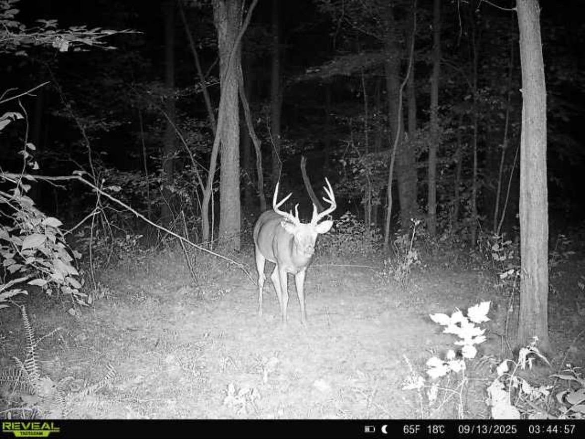0 Ashby Road Centertown, KY 42328 - Photo 27 of 28 Gallery Image 27