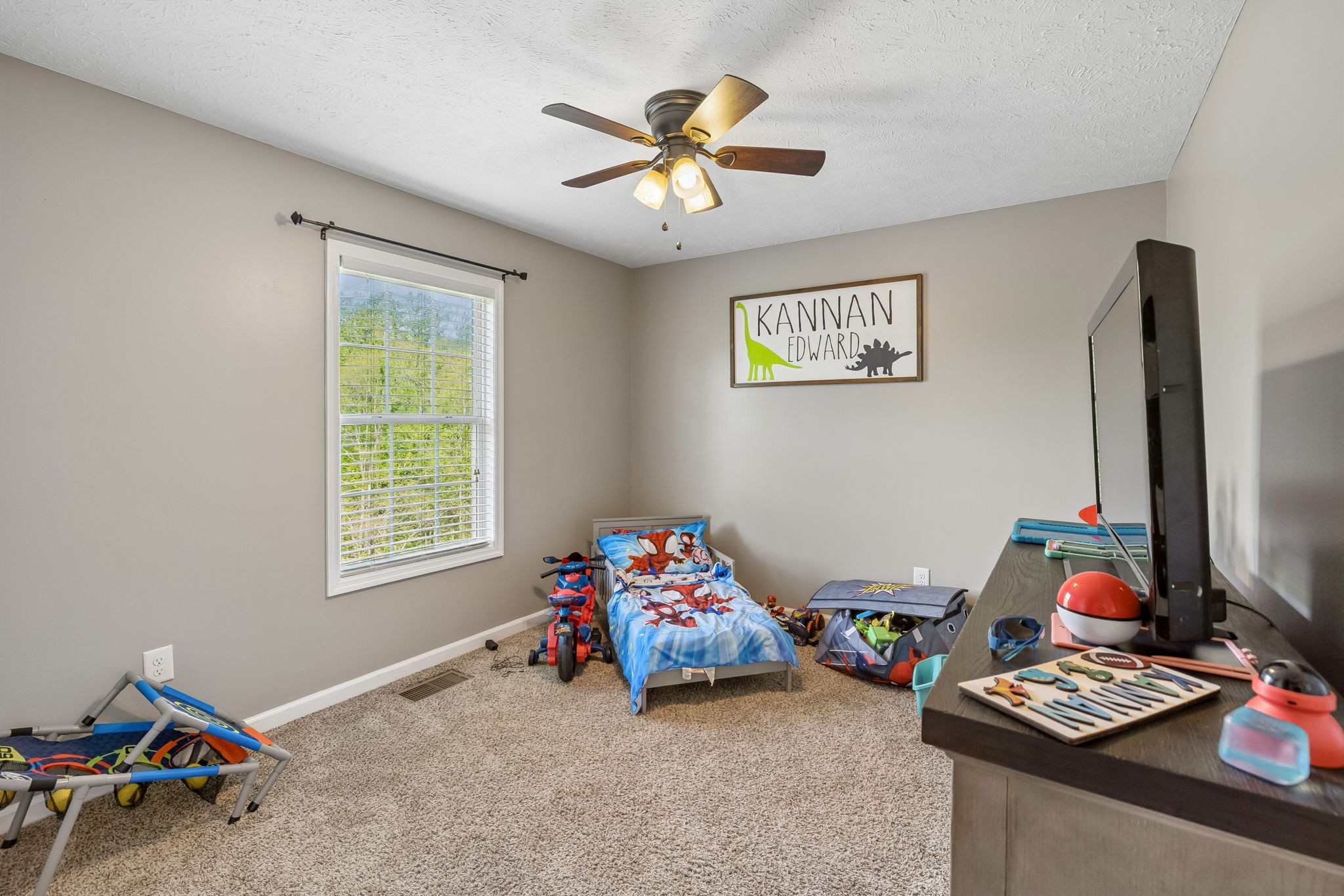 119 Gibbs Landing Carthage, TN 37030 - Photo 19 of 35