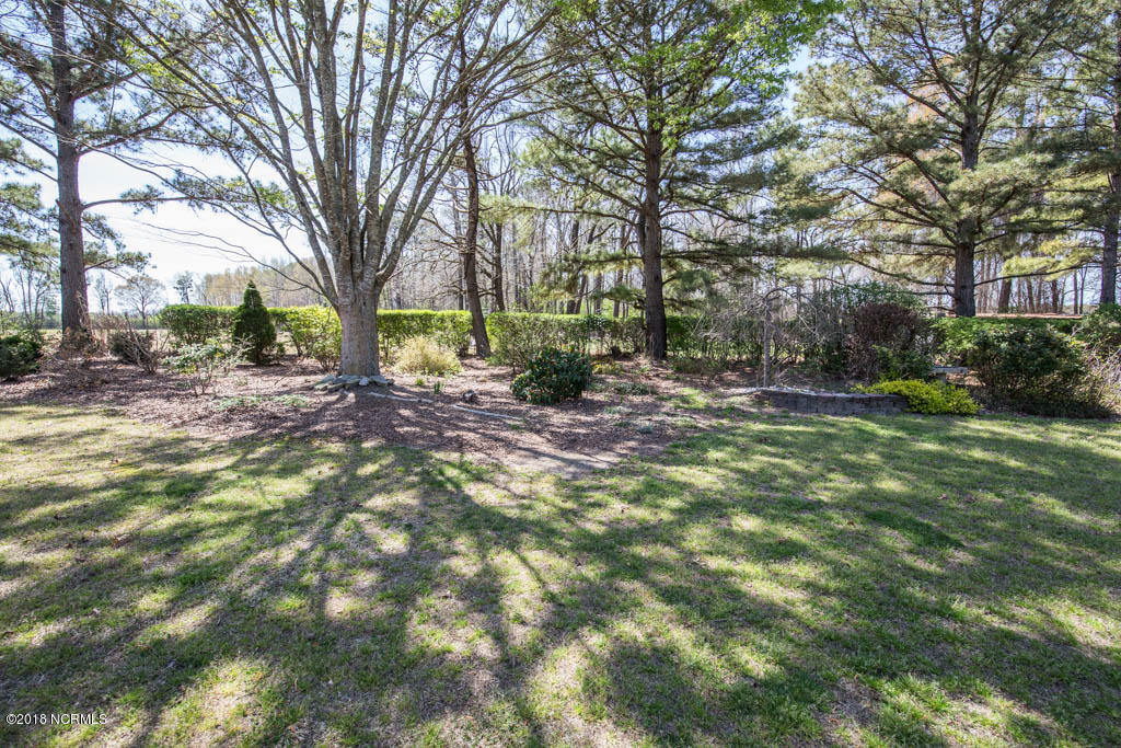 5922 Reedy Branch Road Winterville, NC 28590 - Photo 47 of 51 exteriorback-7