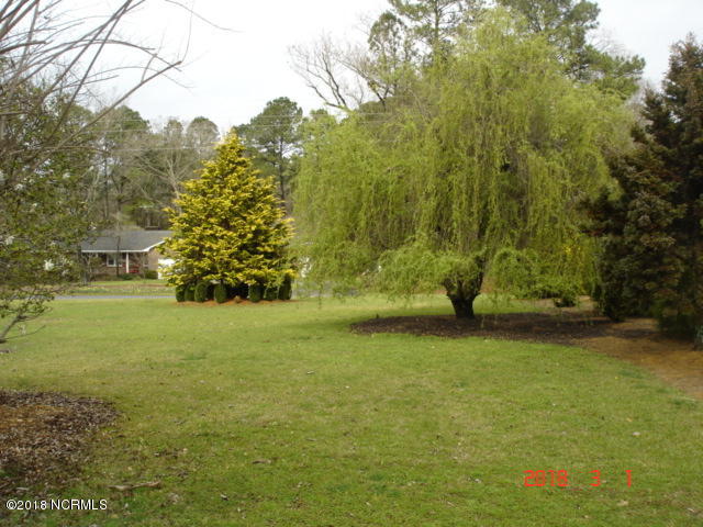 5922 Reedy Branch Road Winterville, NC 28590 - Photo 48 of 51 yard 4