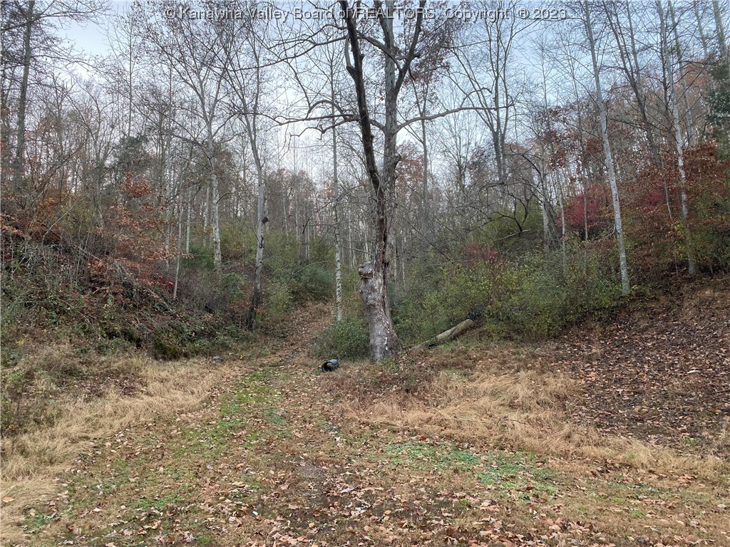 0 Sowards Road Milton, WV 25541 - Photo 5 of 5 Gallery Image 5