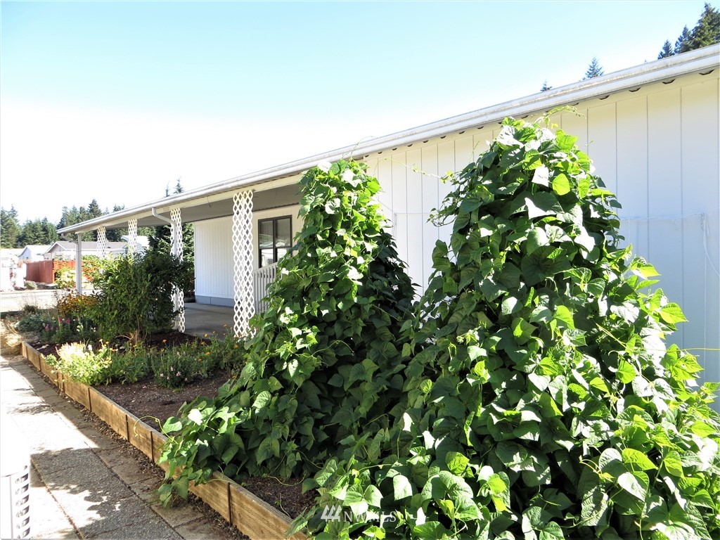 13 Holly Road Shelton, WA 98584 - Photo 28 of 28 Gallery Image 28