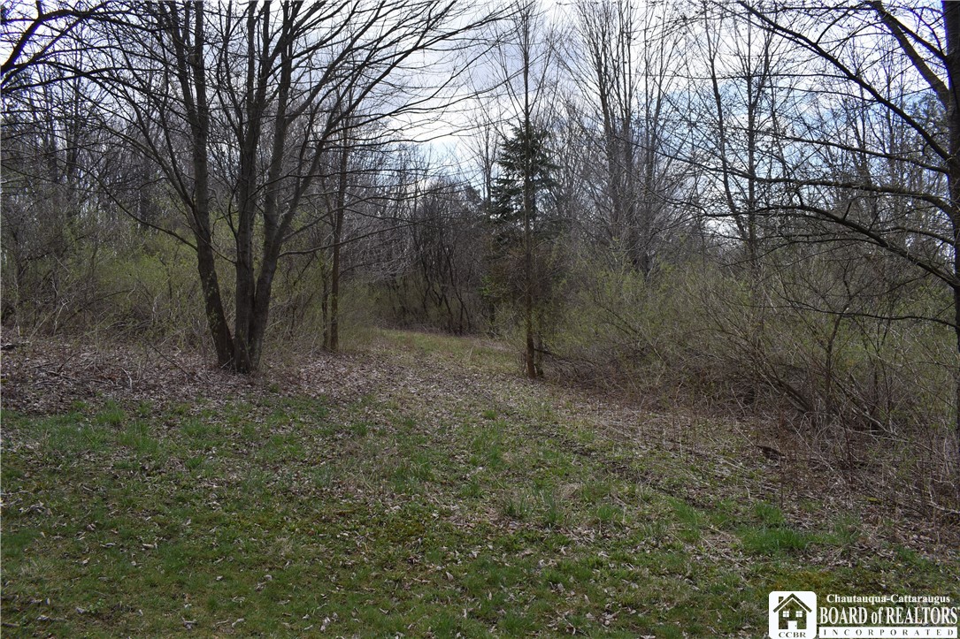 2780 Buffalo Road Orangeville, NY 14167 - Photo 37 of 50