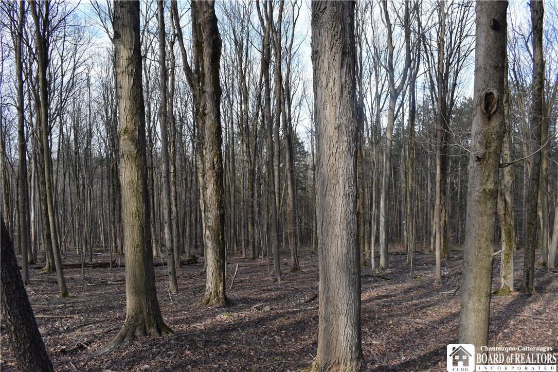 2780 Buffalo Road Orangeville, NY 14167 - Photo 40 of 50