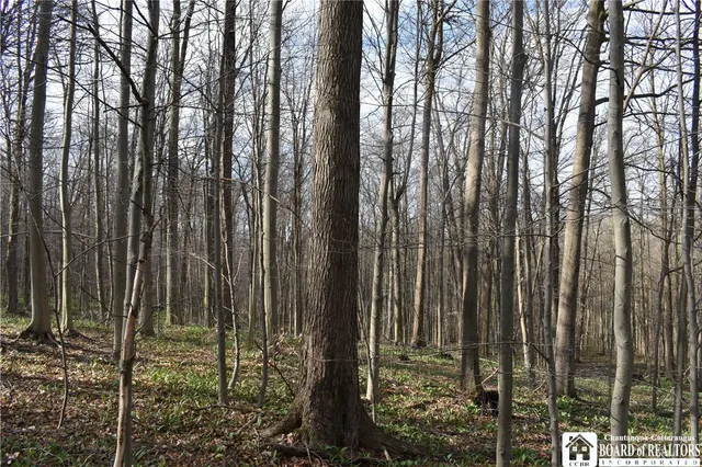 $1,750,000 | 2780 Buffalo Road, Orangeville, NY 14167