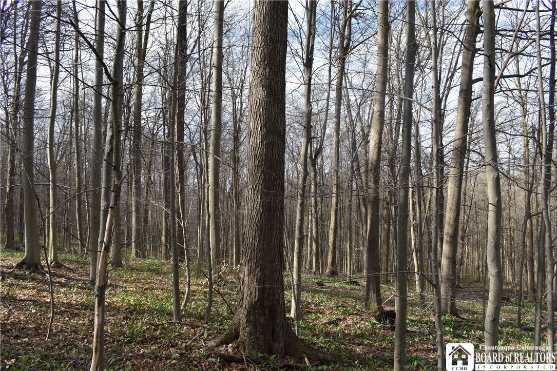 2780 Buffalo Road Orangeville, NY 14167 - Photo 41 of 50