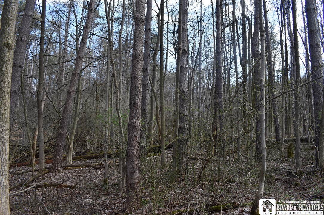 2780 Buffalo Road Orangeville, NY 14167 - Photo 42 of 50