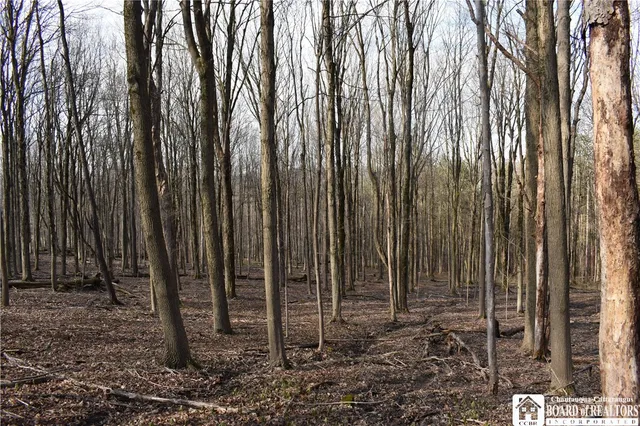 $1,750,000 | 2780 Buffalo Road, Orangeville, NY 14167