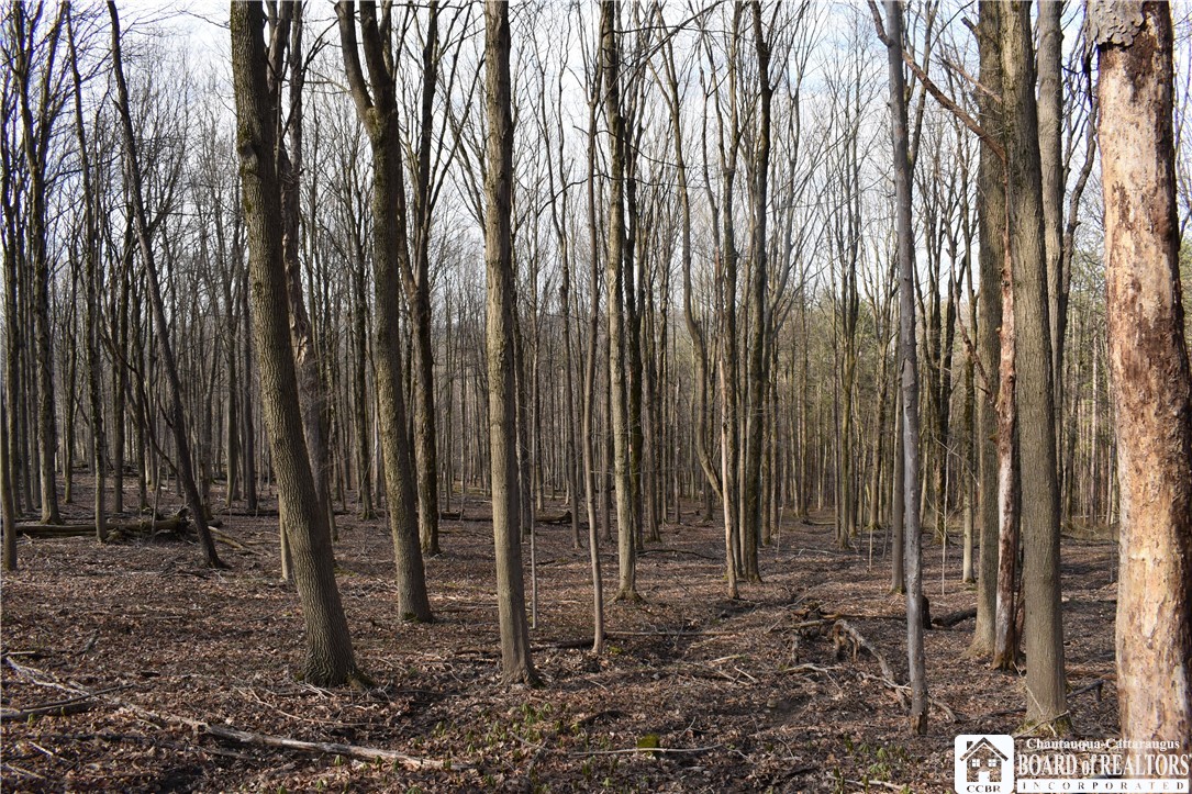 2780 Buffalo Road Orangeville, NY 14167 - Photo 45 of 50