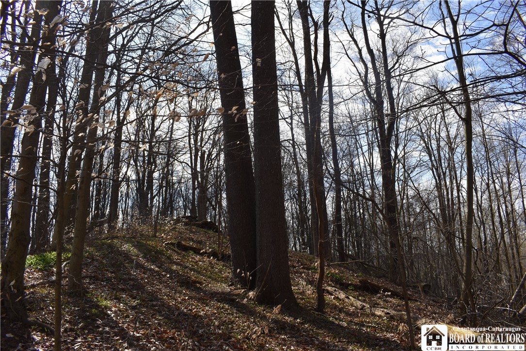 2780 Buffalo Road Orangeville, NY 14167 - Photo 46 of 50