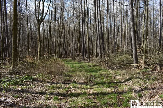 $1,750,000 | 2780 Buffalo Road, Orangeville, NY 14167