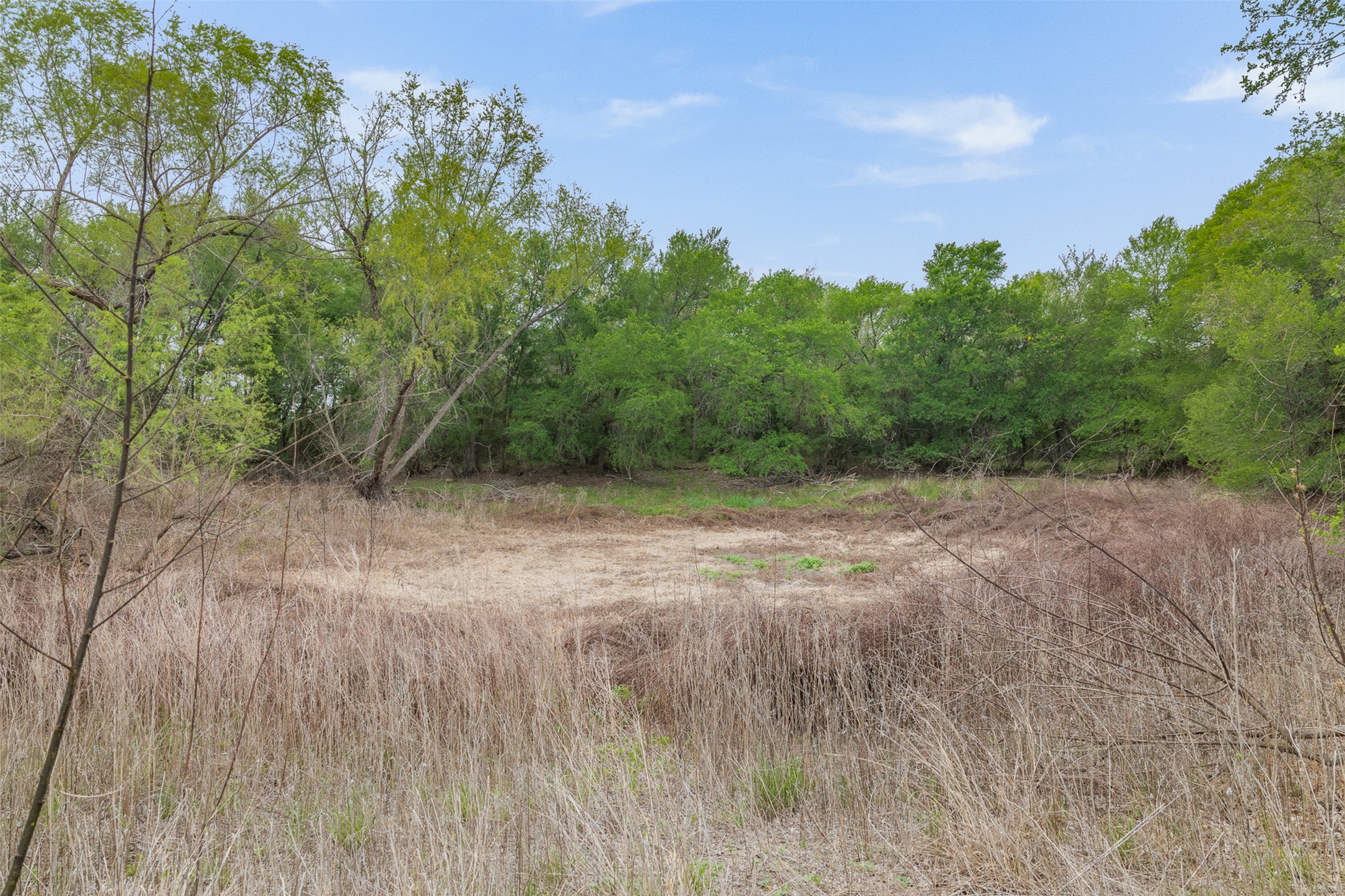 579 Lower Elgin Road Elgin, TX 78621 - Photo 19 of 40 a view of a dry yard with trees